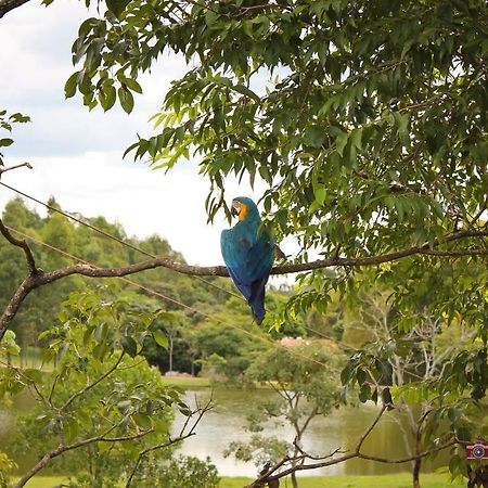 Pousada Fazenda Buracao Mococa Dış mekan fotoğraf