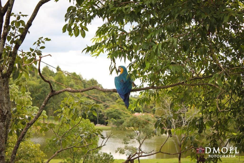 Pousada Fazenda Buracao Mococa Dış mekan fotoğraf